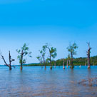 Andaman & Nicobar Islands